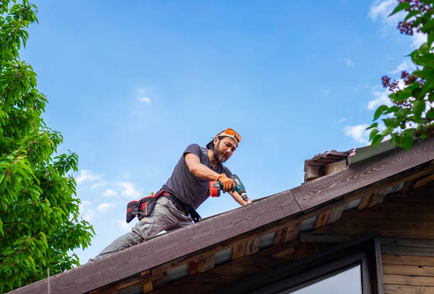 Best Roof Maintenance and Cleaning  in Valley Springs, CA